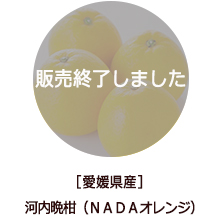 �o�i�[