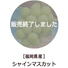 �o�i�[
