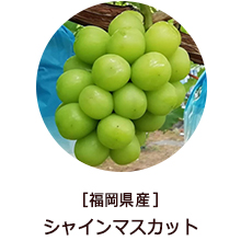 �o�i�[