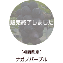 �o�i�[