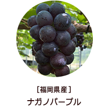 �o�i�[