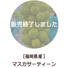 �o�i�[