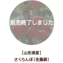 �o�i�[
