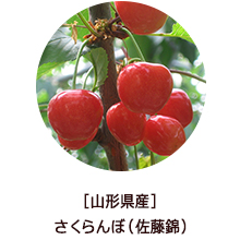 �o�i�[
