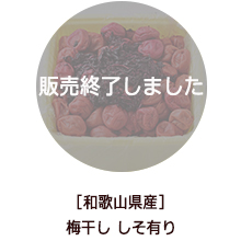 �o�i�[