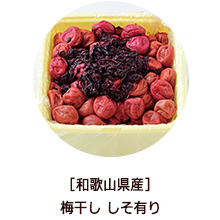 �o�i�[