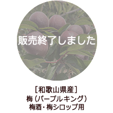 �o�i�[