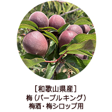 �o�i�[