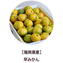 �o�i�[