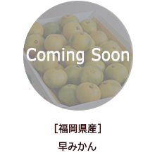 �o�i�[