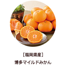 �o�i�[