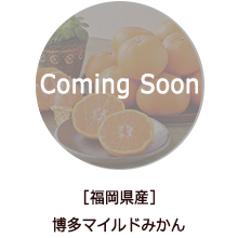�o�i�[