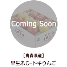 �o�i�[