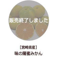 �o�i�[