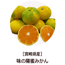 �o�i�[