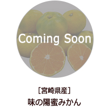 �o�i�[