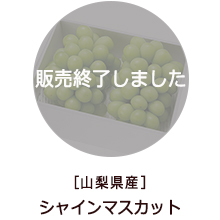 �o�i�[